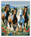  Vágtató Lovak a Vadvirágos Rétben - számfestő készlet