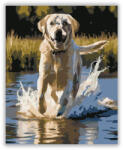 Számfestő Labrador Retriever a Tóban - számfestő készlet (crea5858)