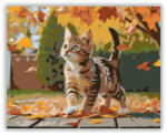  Játékos Cirmos Kiscica Őszi Levélhullásban - számfestő készlet