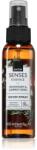 Avon Senses Essence Rosemary & Carrot Seed odorizant de camera 100 ml