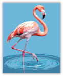  Kecses Flamingó a Sekély Vízben - számfestő készlet