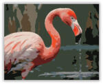  Flamingó Közeli Pillantás a Vízparton - számfestő készlet