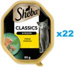Sheba tacka Classics Poultry Cocktail 22x85g nedves teljes értékű eledel felnőtt macskáknak, pástétomban