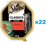 Sheba Classics 22x85 g nedves teljes értékű eledel felnőtt macskáknak marhahússal terrine-ben