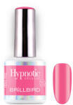 BrillBird TPO FREE Hypnotic HEMA Free Gel&Lac 4 ml 256