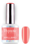 BrillBird TPO FREE Hypnotic HEMA Free Gel&Lac Lumina 4 ml 261