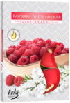AURA 6 бр. чаени свещи aura с аромат на малина и бяла лавандула (p15-352)