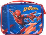 Character Lunch box - Spiderman