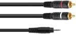 Omnitronic 3.5 Jack/2xRCA 1m Black