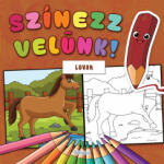  Színezz velünk! - Lovak