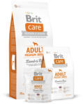 Brit Adult Médium Lamb 1kg