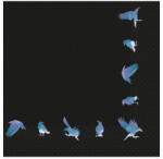 Amscan Bonshine Láz Szalvéták