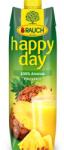 Rauch Gyümölcslé, 100%, 1 l, RAUCH Happy day , ananász (3377) - tabexpress