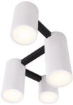 MAXlight LAXER C0228