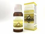Neuston Litsea Cubeba illóolaj 10ml - pharmy