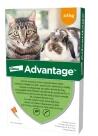 Advantage 40 Cat SpotOn 4x0, 4ml