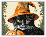  Boszorkányos Halloweeni Macska - számfestő készlet
