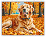  Őszi kalandok arany retrieverrel - számfestő készlet