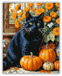  Őszi fekete macska és tökök - számfestő készlet