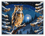  Éjszakai Bagoly Harmóniája - számfestő készlet