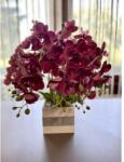 Manóvilág Orchidea Bokor Fadobozban / Bordó / 20 Szálas, 50-55cm (élethű, Gumi, Gondozásmentes)
