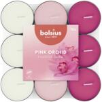 Bolsius Teamécses 18 Db Pink Orchid Basic Háromszínű, Illatgyertyák