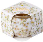 Emocio Üvegbe Töltött Illatgyertya Daisy Meadow Dekor 70X62Mm - gyertyakvilaga