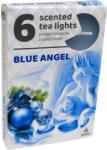  Teamécses 6 Db Blue Angel Illatgyertyák