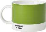Copenhagen Design Cană pentru ceai Pantone 475 ml verde ierbos (101050343)