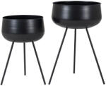 House Nordic Ardola 9001170