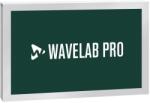 Steinberg Wavelab Pro 12 Full Version
