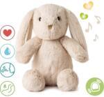 Cloud b Love Light Buddies Billy Bunny nyuszi