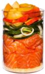 Terra Canis Salmon with millet, peach & herbs 400 g