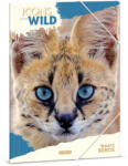 Ars Una A4 Gumis mappa Icons of the Wild-Serval (5503) 25 (50215034)