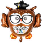  Fólia lufi - Ballagás - Bagoly szemüvegben