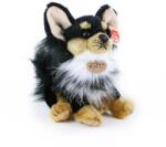 Rappa Ülő plüss csivava kutyuska 24 cm
