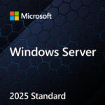 Microsoft Windows Server Standard 2025 (EP2-25408)