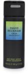 David Beckham True Instinct deo stick 150 ml