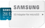 Samsung microSDXC Evo Select Plus 256GB CL10/UHS-1/U3 (MB-ME256KA/AM)