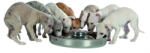 TRIXIE tál kölyök kutyáknak 4l/38cm (25282) - webshop