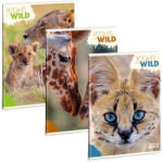 Ars Una A4 extra kapcsos füzet, vonalas Icons of the Wild (5492) 25 (53114921)