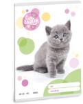 Ars Una Füzet A/5 Sima Cuki Brit Rövid Szőrű Macska 5305 (AU53613059)