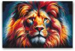  Festés számok szerint - Színes oroszlán 5 Méret: 40x60cm, Keretezés: Műanyagtáblával