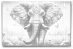  PontPöttyöző - Színes elefánt és pillangók Méret: 40x60cm, Keretezés: Kartonlemezen, Szín: Kék
