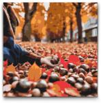  Festés számok szerint - Gesztenyék közelről Méret: 50x50cm, Keretezés: Műanyagtáblával