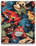  Festés számok szerint - Színes varangyok Méret: 40x50cm, Keretezés: Kartonlemezen