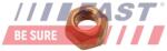 FAST piulita, galeria de evacuare FAST FT84701