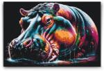  Festés számok szerint - Színes víziló Méret: 40x60cm, Keretezés: Kartonlemezen