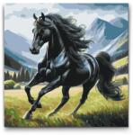  Festés számok szerint - Fekete mén Méret: 50x50cm, Keretezés: Kartonlemezen