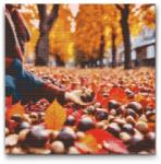  Gyémántszemes kirakó - Gesztenyék közelről Méret: 50x50cm, Keretezés: Keret nélkül (csak a vászon), Gyémántok: Kerek